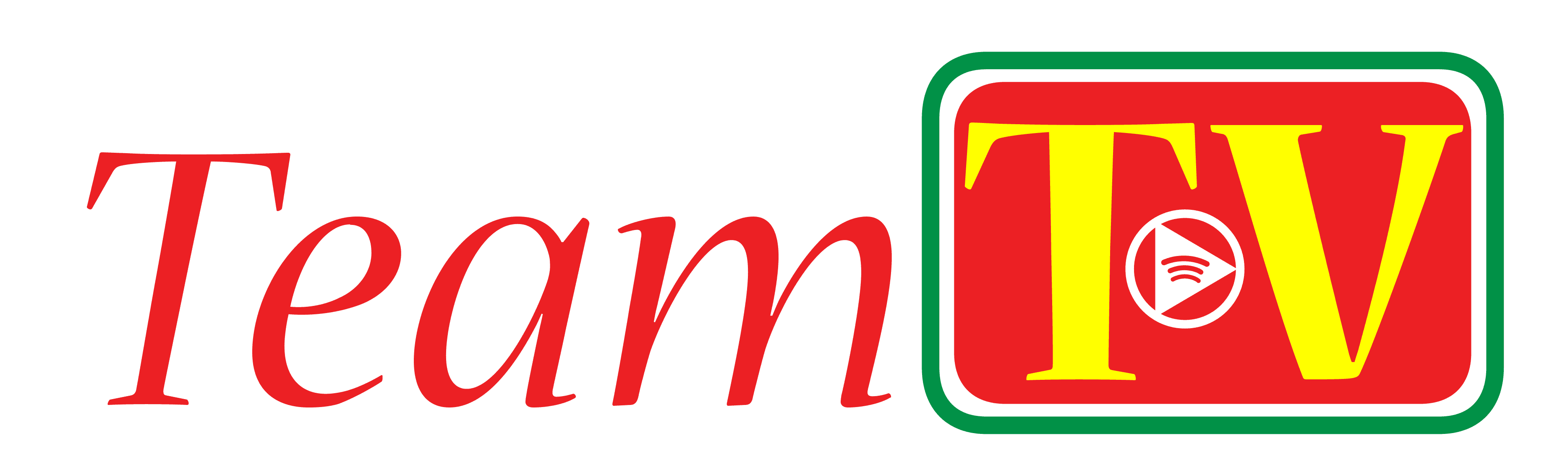 Logo Team TV